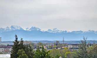 Linz/Leonding: TRAUMGRUNDSTÜCK sucht Traumhaus