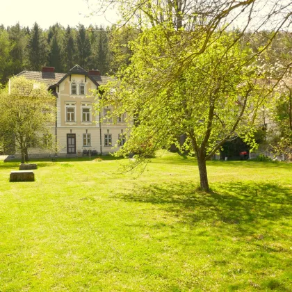 Wunderschönes Grundstück mit kleinem Zinshaus im Ortskern von Weissenbach an der Triesting! - Bild 2