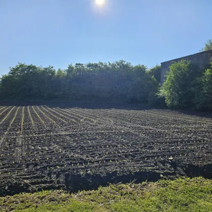 Sensationelles Bauträgergrundstück mit attraktiver Planstudie im Zentrum von Stainz, in bester Lage!!! - Bild 3