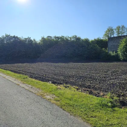 Sensationelles Bauträgergrundstück mit attraktiver Planstudie im Zentrum von Stainz, in bester Lage!!! - Bild 2