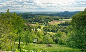 Traumhafter Weitblick und Natur pur – Einfamilienhaus mit umfangreichem Grundstück und landwirtschaftlichen Gebäuden