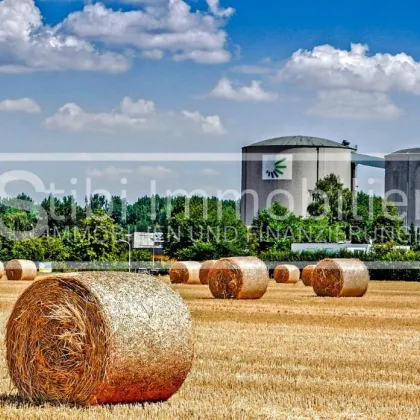 Grundstück von ca. 38.000 m² an der Stadtgrenze Wiens mit vielseitigem Potenzial - Bild 3