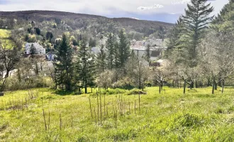 Perfektes Baugrundstück für Ihr Traumhaus in Klosterneuburg - Jetzt zugreifen!