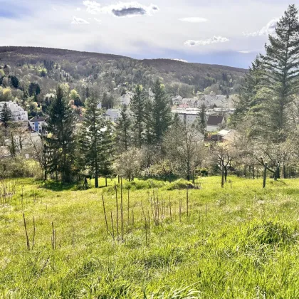 Traumhaftes Baugrundstück in privilegierter Lage in Klosterneuburg - Bild 2