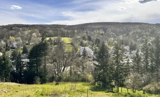 Perfektes Baugrundstück für Ihr Traumhaus in Klosterneuburg - Jetzt zugreifen!