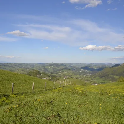 Grundstück mit traumhaftem Bergpanorama in Waidhofen an der Ybbs - Bild 2