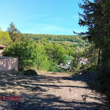 Baubewilligter Villenbaugrund im Herzen von Neustift am Walde - Bild 2