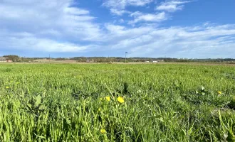 Sonniges Grundstück am Ströblberg in Gunskirchen