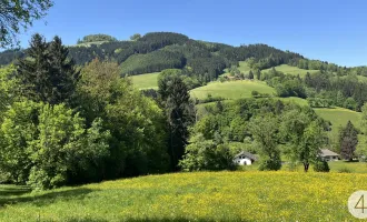 Green green grass of home - sonnige, einzigartige Lage im Grünen - einfach ein Grünoase!