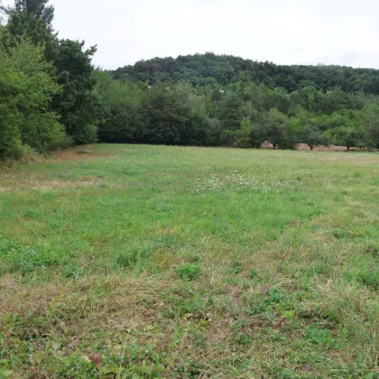 Großes Baugrundstück in guter Lage nahe Mödling - Bild 2