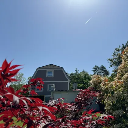 Charmantes Einfamilienhaus auf einem Eckgrundstück mit Pool - Bild 3