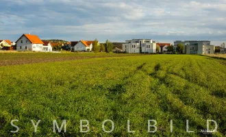 Baugrund in der Nähe des Neusiedlersees, im wunderschönen Purbach