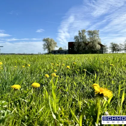 Schönes Grundstück am Ströblberg in Gunskirchen - Bild 2