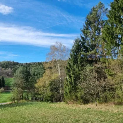 Idyllisch gelegenes Grundstück in Witzelsberg zu verkaufen - Bild 2