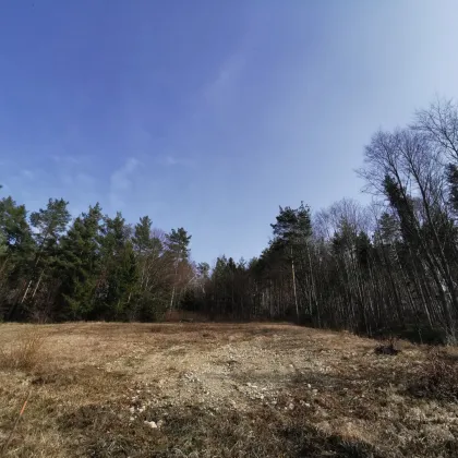 Baugrundstück mit traumhaften Fernblick in ruhiger Lage - Bild 2