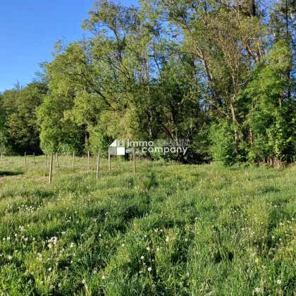 Gartenflächen am Ortsrand von Willendorf mit Grünblick 19,50 per m² - Bild 2