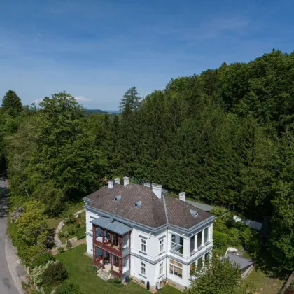 Außergewöhnliches Anwesen: Jahrhundertwende - Villa auf parkähnlichem Grund mit eigenem Wald - Bild 3