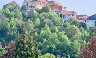 Firmenstandort mit ausreichend Parkfläche zu VERKAUFEN  !