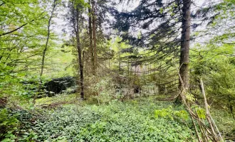 Baugrundstück in herrlicher Ruhelage - vor den Toren Wiens - grüner Weitblick übers Tal - gut bebaubar