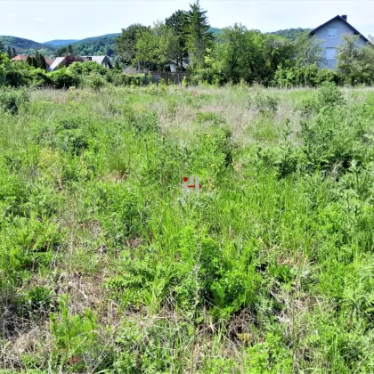 Herrlicher Bauplatz in einer sehr schönen Villenlage mit Fernblick - Bild 3