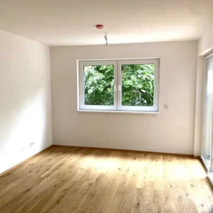 Single- bzw Starterwohnung - auch für Anleger interessant - Bild 3