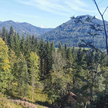 Baugrundstück mit Aussichtslage im Ferienwohngebiet - Bild 3