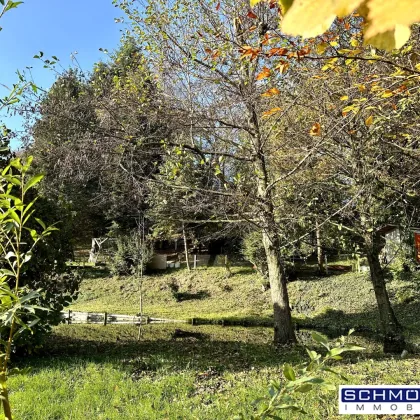 Freizeit-Wald Grundstück mit Fischteich, Naturquelle und Blockhütte - Bild 2