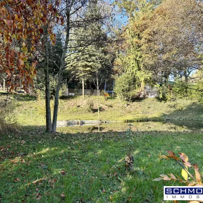 Freizeit-Wald Grundstück mit Fischteich, Naturquelle und Blockhütte - Bild 3