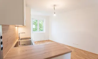 ANLAGE - vermietet Wohnung zum Kauf. Helle und liebevoll sanierte 3-Zimmer Wohnung nahe Riverside und Liesingbach.