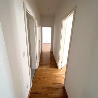 Super Preis !!! - 3 Zimmer Altbau - zentral begehbar - nur ca. 7-8 Gehminuten bis zur Alten Donau - Bild 3