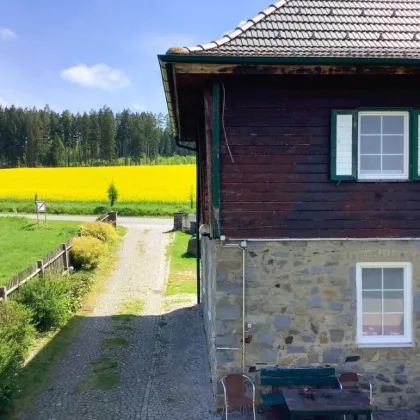 TRAUMHAFTES WALDVIERTLER LANDHAUS IN ORTSRANDLAGE MIT THAYA-ZUGANG - Bild 3