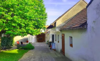 Großzügiges, vollrestauriertes Weinhauerhaus in absoluter Ruhelage direkt am Naturschutzgebiet