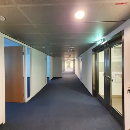 Gut aufgeteiltes Büro mit 6 Räumen in der Operngasse - Bild 3