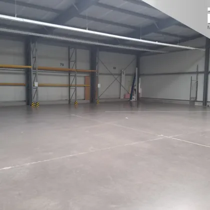 LAGERFLÄCHE | € 6,65 netto pro m² | Flexible Hallenfläche von 10 m² bis 250 m² in moderner Halle - Bild 2