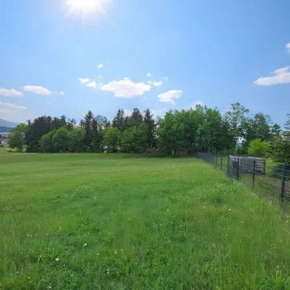 Panorama Hills - Grundstück in bester Lage - Bild 3