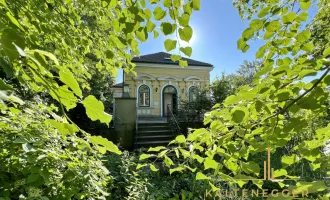 Wohn- oder Projekthaus am Donaualtarm - nahe Wien