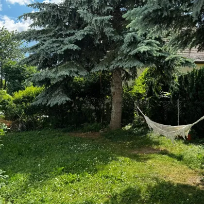 Zimmer mit Garten zu verkaufen (inkl. Möbel) - Bild 3