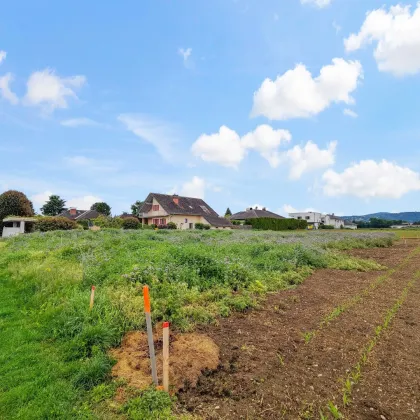 10 Min. vor Graz. - Teilung möglich. - Beliebte und naturnahe Lage mit perfekter Autobahn-Anbindung! - Bild 3