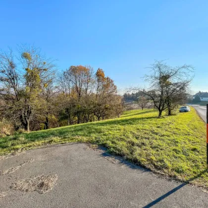 Naturnahes Wohnbau-Grundstück. - Mit Wald-Anteil. - 5 Min. vor Jennersdorf. - Bild 2