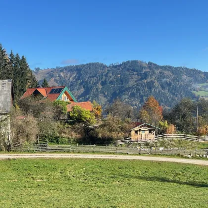 Kleinlandwirtschaft mit Panoramalage in Murtal - Bild 2