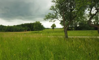 Haus NEU sehr elegant in wunderbarer ruhiger Lage Nähe Ried im Innkreis sehr Preiswert. IHRE CHANCE