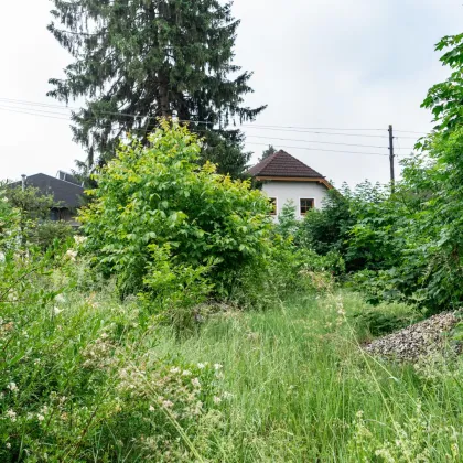 Zentrales Baugrundstück in Linz - Jetzt Eigenheim verwirklichen - Bild 3