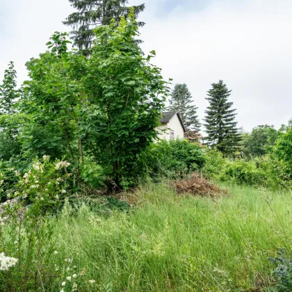 Zentrales Baugrundstück in Linz - Jetzt Eigenheim verwirklichen - Bild 2