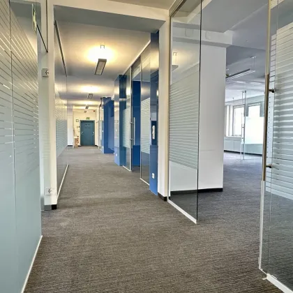 Modernes 560m2 Büro neben dem Steffl - Bild 2