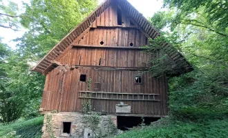 Naturliebhaber aufgepasst: Landwirtschaftliche Hofstelle möchte wieder wachgeküsst werden