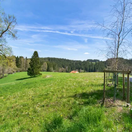 Absolute ALLEINLAGE im südlichen Waldviertel - LUXUS pur - Bild 2