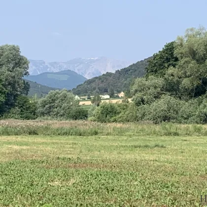 AGRAR LANDWIRTSCHAFT mit fruchtbarem Boden in guter Lage +++ Anschlüsse vorhanden - Bild 3