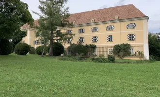 SCHLOSSWOHNUNG +++ idyllischer Parkblick, Pferdeparadies,  traumhafte Umgebung, uvm. ......