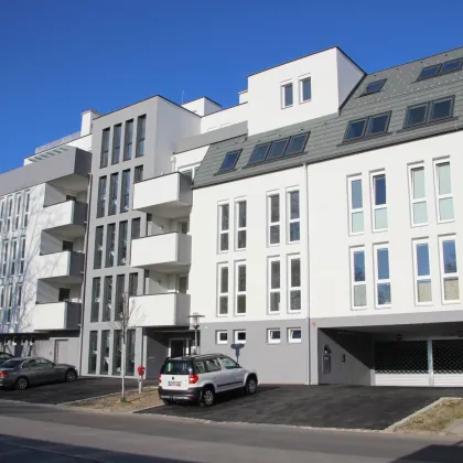 PROVISIONSFREI: PKW TIEFGARAGENSTELLPLATZ ZENTRUM KORNEUBURG!! - Bild 3