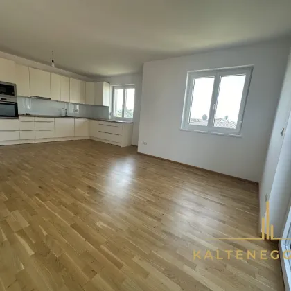 Traumhafte 3-Zimmer-Wohnung mit Balkon und Stellplatz in Wiener Neustadt - neuwertig und stilvoll - Bild 2